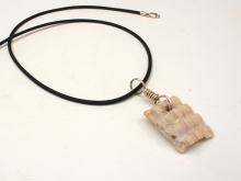 Shell fragment - Hunting Island, SC