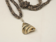 Shell fragment - Cape May, NJ